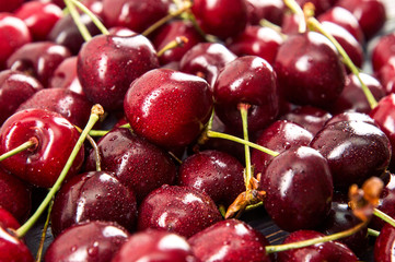 Close up. Seasonal harvest of sweet cherries. A pile of freshly washed burgundy berries.