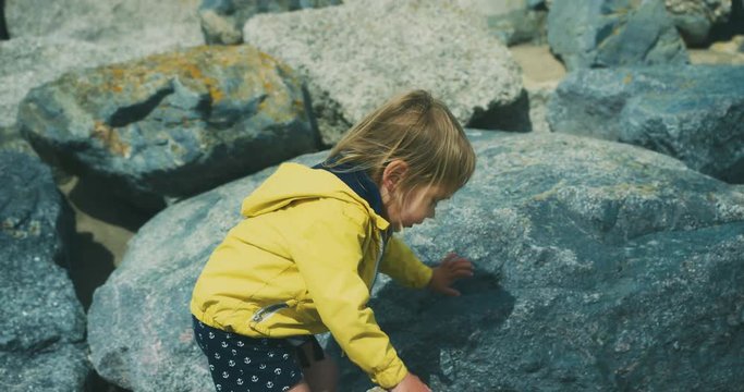 Little toddler walking on rocks on the beach