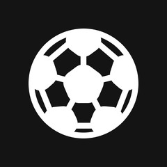 Sport ball icon. Flat vector illustration isolated on background