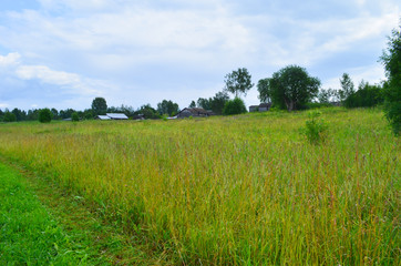 Sunny day in the village. Nature in Russia.