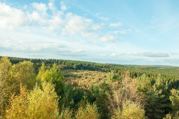 Forest of Dean in the autumn.