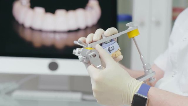 Dentist using dental articulator