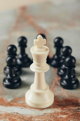 Chess business concept, leader and success.