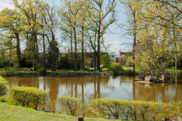 Fototapeta na wymiar Summertime English common pond.