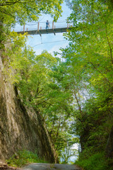 兵庫県・古法華自然公園の吊橋、子供