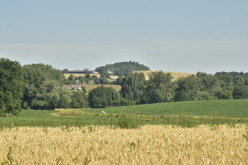 Fototapeta premium Colline au sommet boisé derrière les prairies et bois aux environs de Bourg de Champagne au Périgord Vert