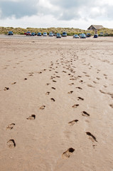 Footprints in the sand.