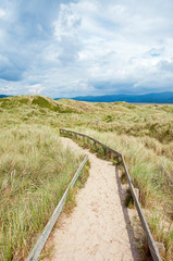 Fototapeta na wymiar Sand dunes and boardwalk in the summertime.