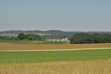 Obraz premium Contrastes entre les différentes plantations de blés et de maïs devant les silos à grains au Périgord Vert