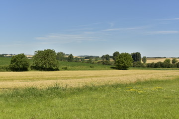 Fototapeta na wymiar Paysage rural du Périgord Vert en été près du bourg de Champagne-et-Fontaine