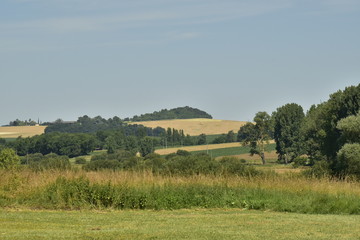 Fototapeta na wymiar Paysage de prairies ,champs et bois aux environs du bourg de Champagne au Périgord Vert