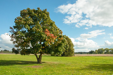 Country road in English countryside.