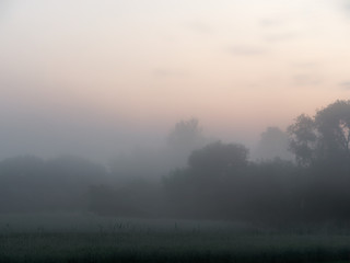 fog at dawn over a field of farmland
