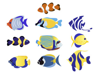 Naklejka premium Exotic Fish Set animal vector illustration flat