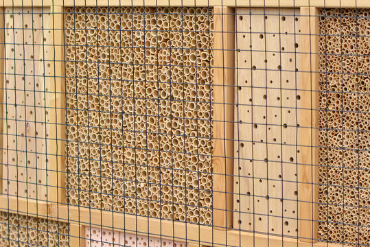 Close Up Of A Wooden Insect House Hotel Structure Created To Provide Shelter For Insects Like Bees To Prevent Extinction