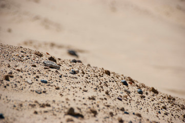 Fototapeta na wymiar yellow sand the surface of small stones background