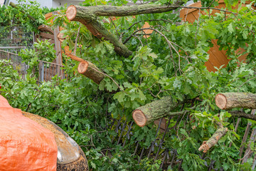 The remains of a fallen tree after a heavy thunderstorm in Berlin, Germany. The fire department has already sawn the branches to make the road passable again.
