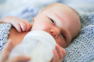 Newborn baby boy eating milk from a bottle - closeup