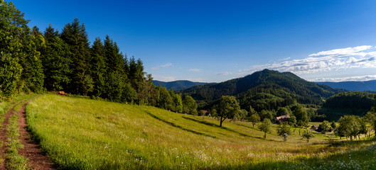 Schwarzwaldpanorama