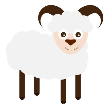 Funny sheep on a white background. 