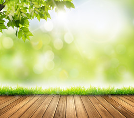 눈부신 햇살 봄배경 