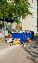 trash containers street birds pigeons thieves