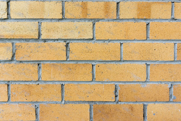 Obraz premium old yellow brick wall background