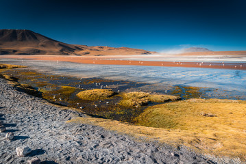 Lagunas del altiplano, Bolivia