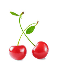Two red cherries