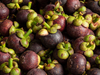 mangosteen queen of fruits
