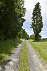 Chemin de campagne entre champs et forêt près du bourg de Champagne en Dordogne