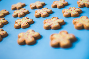 Galletas con forma de flor en fondo azul