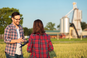 Two happy young female and male farmers or agronomists talking in a wheat field, consulting and...