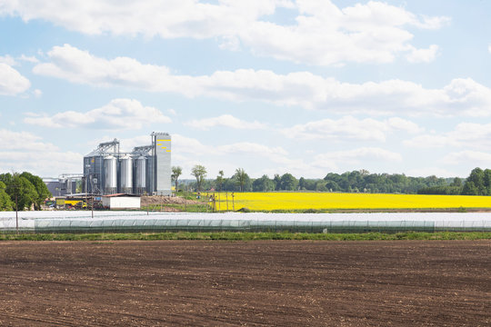 Field of rapeseed flowers, plant for cleaning and storage of agricultural products, flour, cereals and grains.