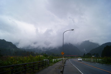 SONY DSC