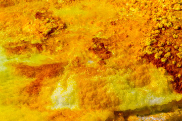 Obraz na płótnie Canvas Dallol Sulphur springs and pools Danakil Depression Ethiopia. The Sulphur springs create the unearthly colourful and beautiful landscape