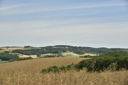 Champs d'orges au sommet d'une colline pr&egrave;s du bourg de Vendoire au P&eacute;rigord Vert