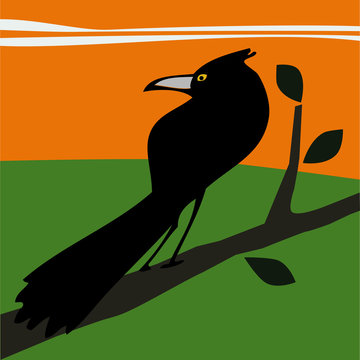 Cuervo posado en la rama de un &aacute;rbol contemplando el paisaje