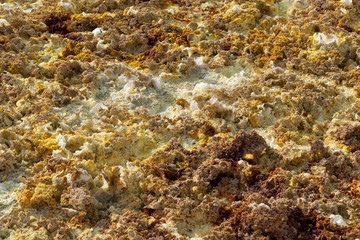 Dallol Sulphur springs and pools Danakil Depression Ethiopia.   The Sulphur springs create the unearthly colourful and beautiful landscape