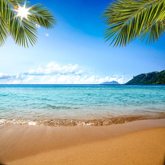 summer beach background and sea landscape 