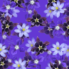 Beautiful floral background of liverwort, aquilegia and clematis. Isolated