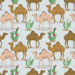 Camels and cactus in the desert pattern