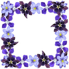 Beautiful floral pattern of liverwort, aquilegia and clematis. Isolated