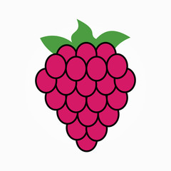 raspberry flat icon. vector illustration. isolated on white background