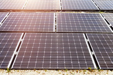 Solar panels, alternative electricity source, green power,