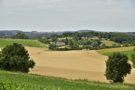 Hameau sur le flanc opposé de la colline après un champs de blé à Vendoire au Périgord Vert