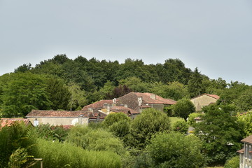 Fototapeta na wymiar Toitures rustiques d'un hameau émergeant de la végétation sur une colline boisée au bourg de Vendoire au Périgord Vert