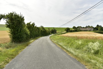 Fototapeta na wymiar Câbles électriques aériens longeant une route de campagne près du bourg de Vendoire au Périgord Vert