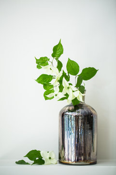 Dogwood branch in mercury glass vessel