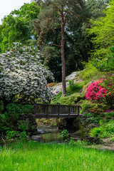 Beautiful Garden with blooming trees during spring time